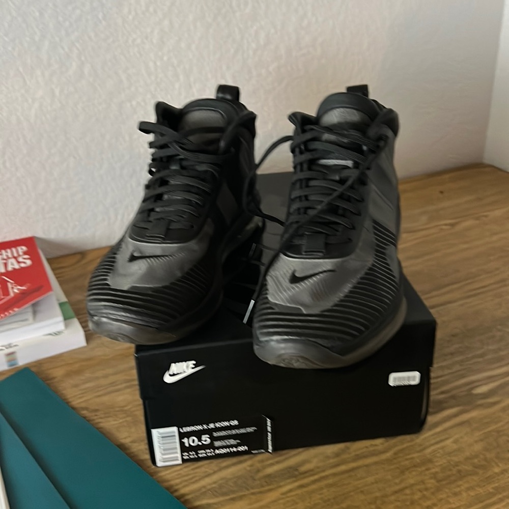 Lebron 10 JE Icon qs 10.5